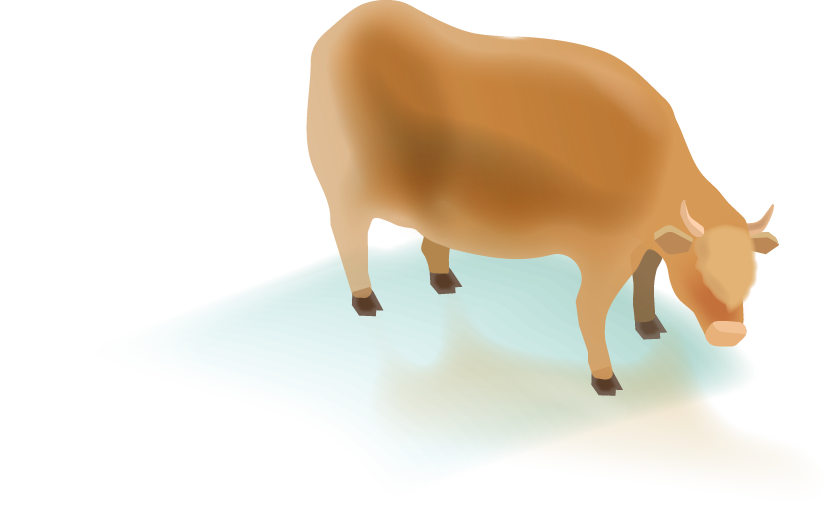cow1