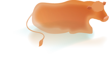 cow2